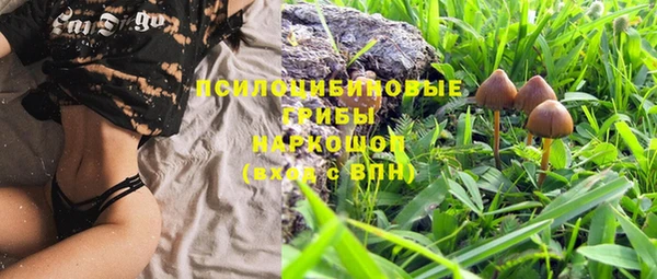 тгк Абинск