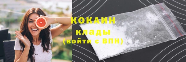 спиды Абаза