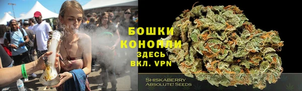 спиды Абаза