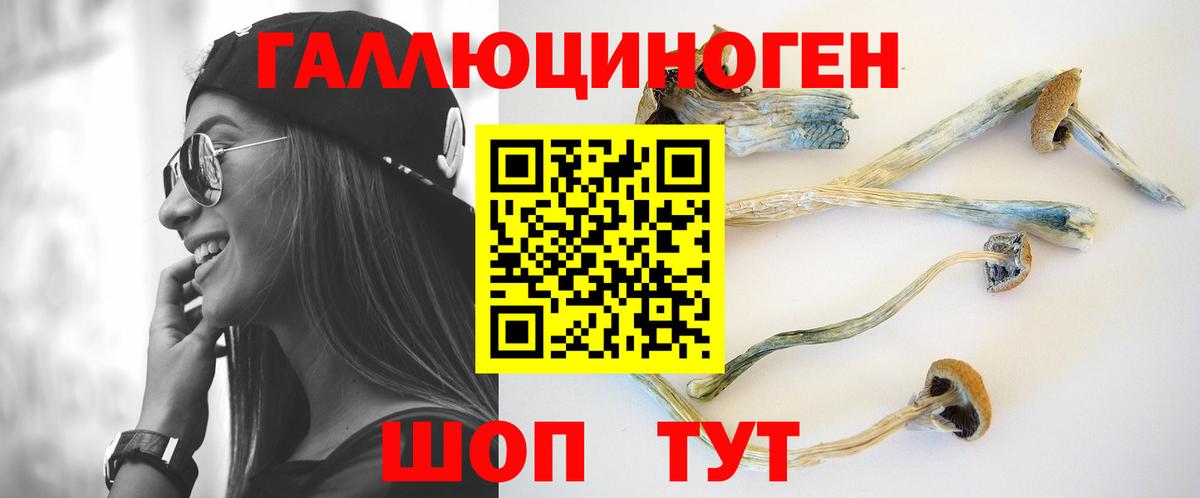 Галлюциногенные грибы Psilocybine cubensis  Вход с VPN  Азов 
